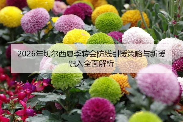 nian-qie-er-xi-xia-ji-zhuan-hui-fang-xian-yin-yuan-ce-lve-yu-xin-yuan-rong-ru-quan-mian-jie-xi-2-784.jpg